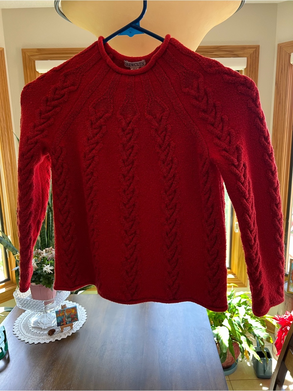 Crewcuts Red Sweater